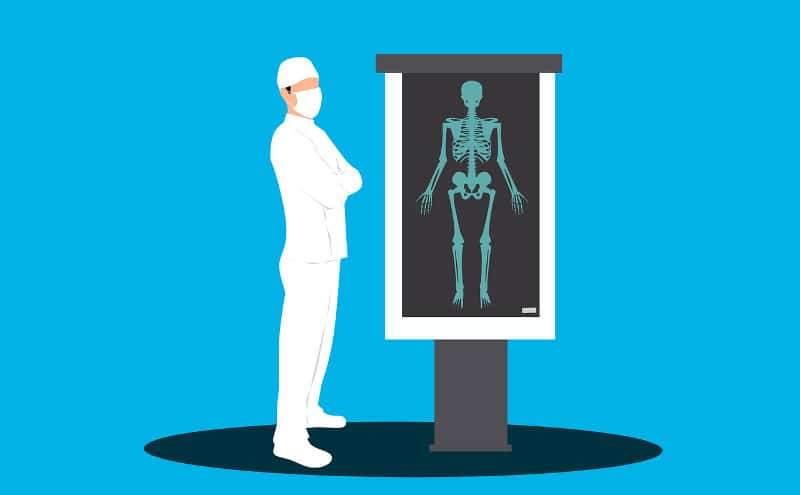 Lekarz ortopeda - szkielet człowieka - zdjęcie